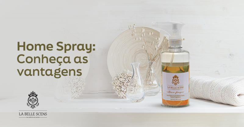 Home Spray: Conheça as Vantagens